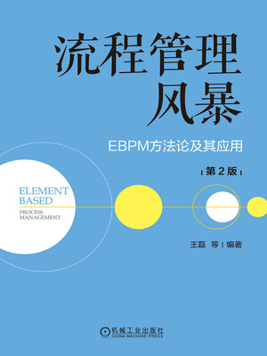 cover image of 流程管理风暴